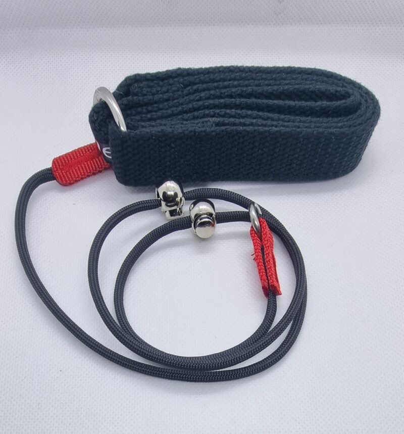 Impulse Control Dog Leash