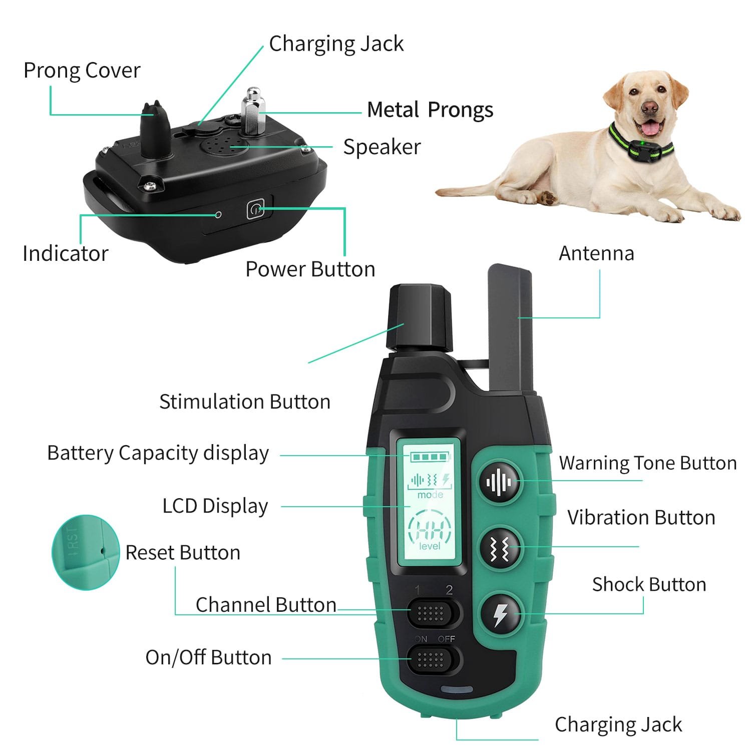 Affordable, Professional-Grade E-Collars for Dog Training (3)