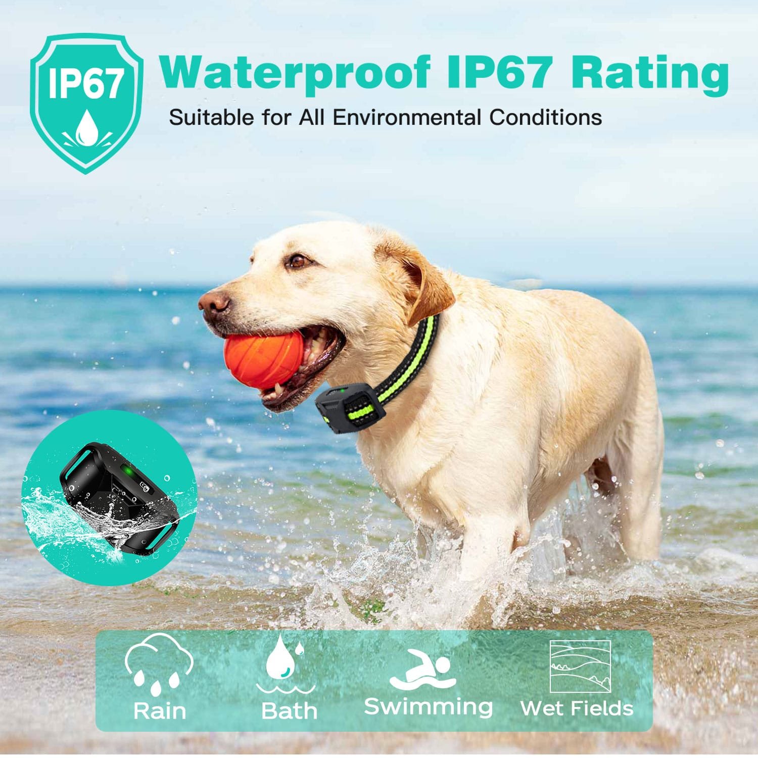 Affordable, Professional-Grade E-Collars for Dog Training (4)