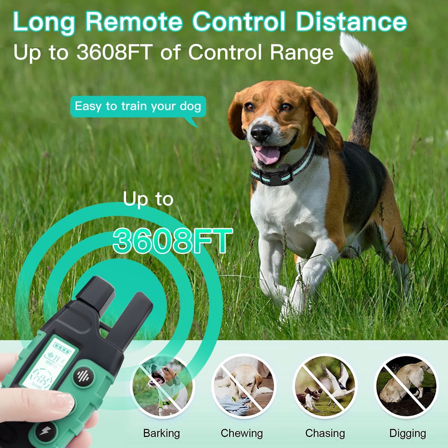 Affordable, Professional-Grade E-Collars for Dog Training (5)